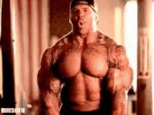 Rich Piana Synthol