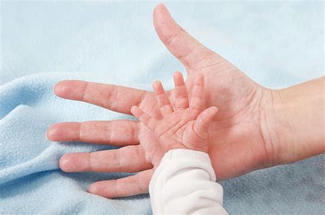 Parent Holding Newborn Baby's Hand Photograph by Lea Paterson/science ...