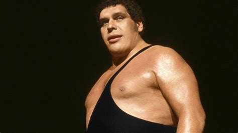 Andre The Giant News, Stats And Video - Wrestling Inc.