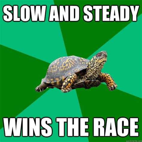 Slow and steady wins the race - Torrenting Turtle - quickmeme