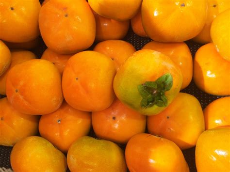 Free Images : food, produce, vegetable, autumn, yellow, japan, living, fruit tree, tangerine ...