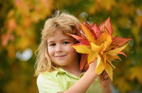Autumn Kids Mood. Child with Fall Leaves Over Maple Leaf Background. Stock Photo - Image of ...