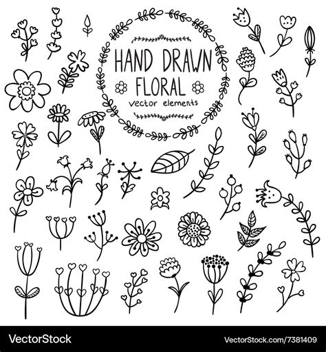 Hand drawn floral elements for your design Vector Image