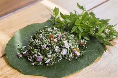 Fresh and healthy Mukunuwenna Salad - Kitchen - DailyLife.lk - Sri Lanka