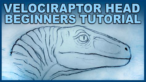 Beginners Tutorial - Drawing Blue Velociraptor Head - Part 1 - YouTube | Drawing tutorial ...