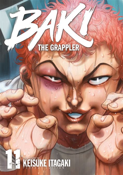 BAKI THE GRAPPLER - Tome 11 - Perfect Edition : ShopForGeek.com: Manga ...