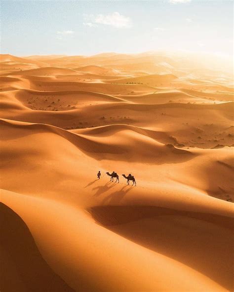The sun drops over the Sahara, and you prepare to spend a night under the desert stars ...