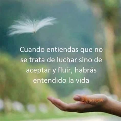 Cuando entiendas que no se trata de luchar sino de aceptar y fluir. - Frases de vida y reflexión