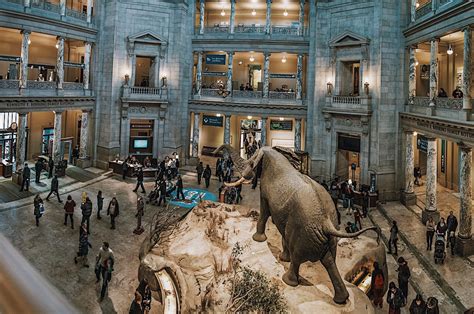 Smithsonian National Museum of Natural History Guided Tour – Semi-Private| Paris Private Tours ...