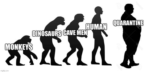 Human evolution - Imgflip