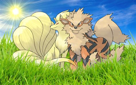 Arcanine and Ninetales by Nikslg on DeviantArt