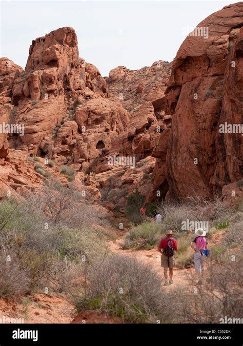 Mouse tank trail hi-res stock photography and images - Alamy