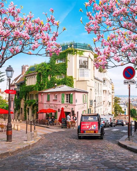 1er jour du printemps : les plus belles photos de Paris en fleurs