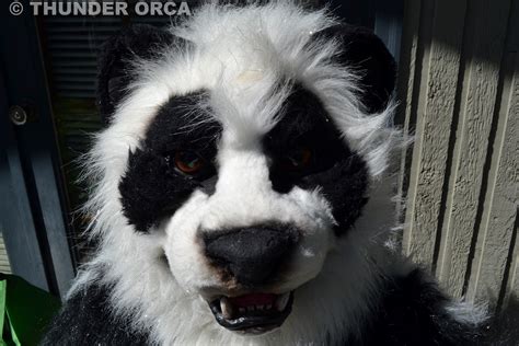 My Panda Fursuit. ^_^ (Part 8) — Weasyl