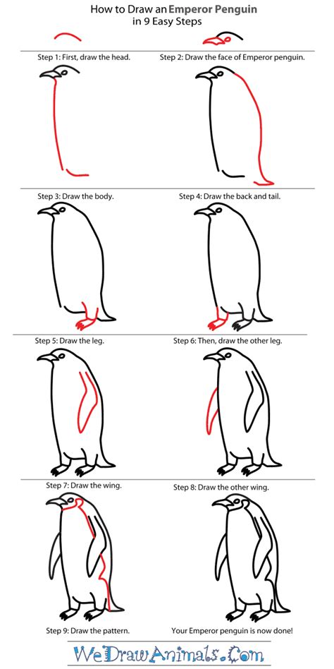 How to Draw an Emperor Penguin