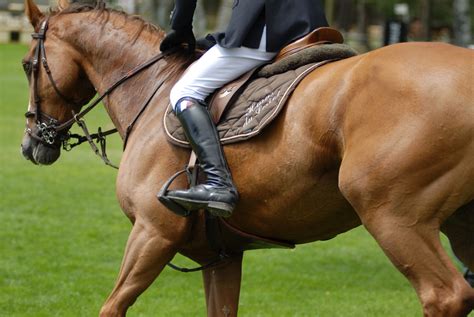 Equestrian apparel, getting to know you necessities - Work Flow Management