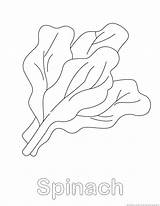 Spinach Coloring Pages sketch template