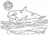Adorable Killer Whale Coloring Pages For Kids  sketch template