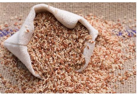 Indian Organic Rajamudi Rice at Rs 90/kg in Bengaluru | ID: 27155889755