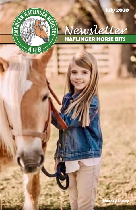 Haflinger Horse | American Haflinger Registry