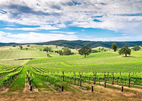 Wine Tour of the Barossa Valley, Australia | Audley Travel US