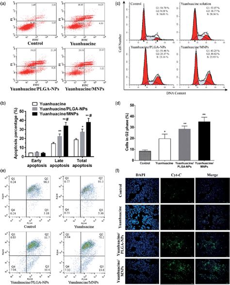 (a) Flow cytometric images to detect apoptosis and (b) apoptosis... | Download Scientific Diagram