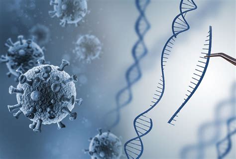 CRISPR researchers, awarded the Nobel Prize, say the technology could ...