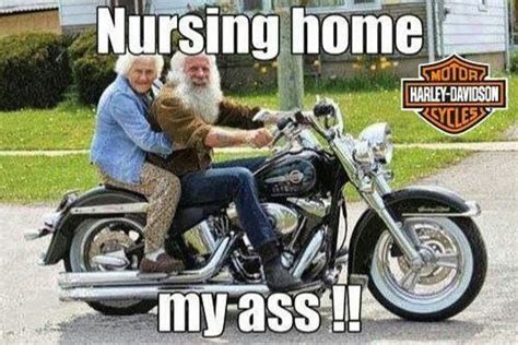 Harley Davidson | Motorcycle humor, Motorcycle memes, Harley davidson