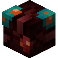 Digested Mushrooms - Hypixel SkyBlock Wiki