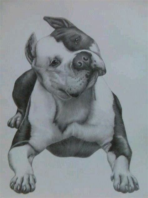 Pitbull Tatoo Dog, Pitbull Tattoo, Dog Tattoos, Animal Tattoos, Pitbull ...