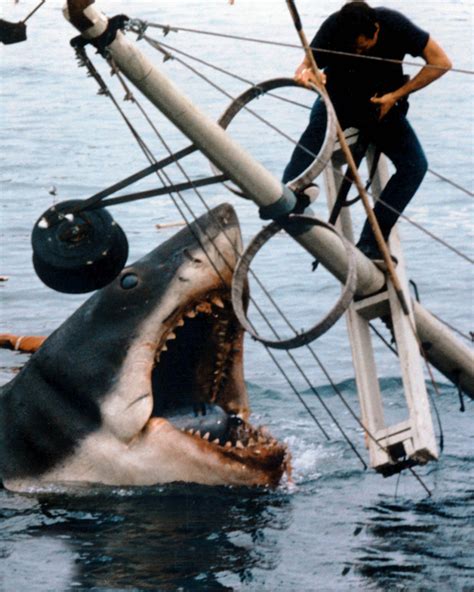 Spielberg's JAWS is Returning to Theaters This Summer For Its 40th Anniversary — GeekTyrant