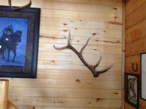 Elk antler coat rack by front door/going up stairs