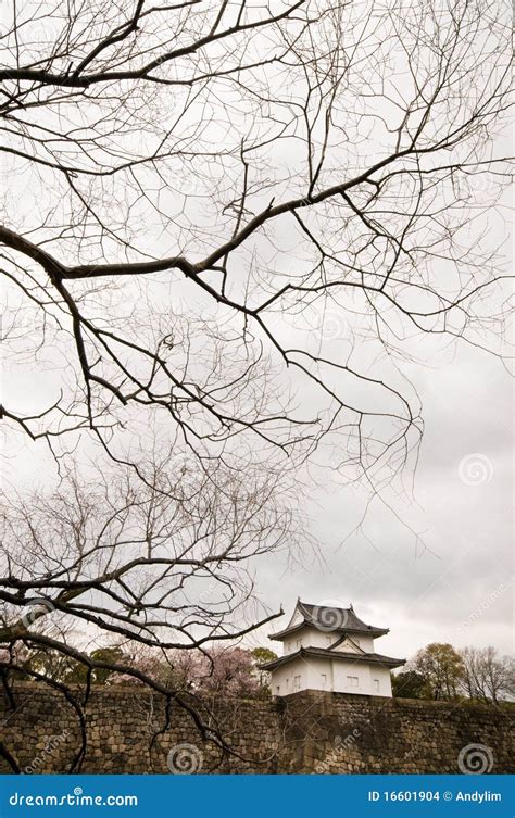 Winter in Osaka, Japan stock photo. Image of castle, asia - 16601904