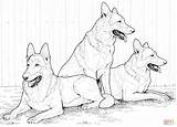 German Shepherd Dog Coloring Pages  Home sketch template