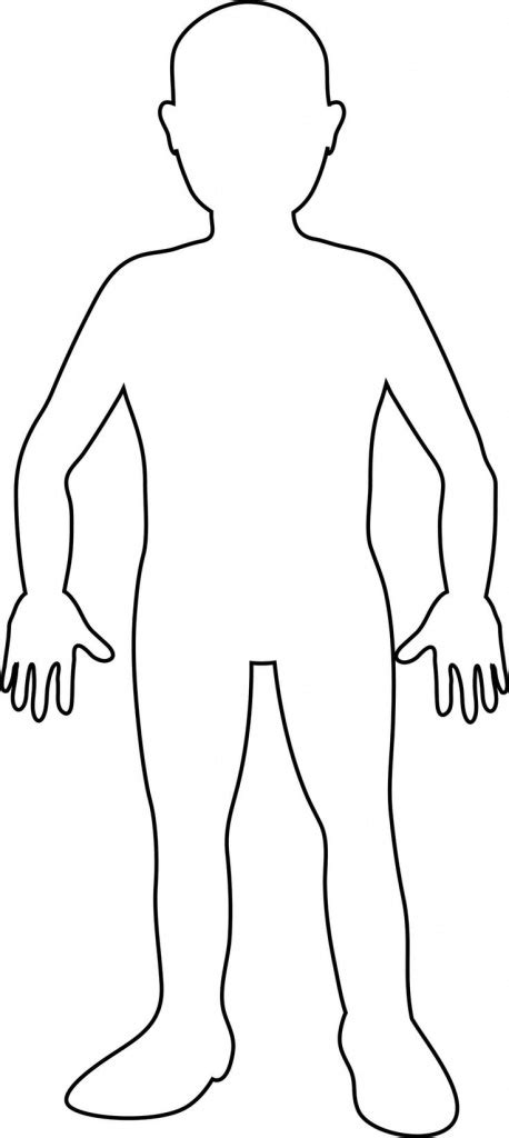 This Diagram Shows The Major Veins In The Human Body. | Venas ...