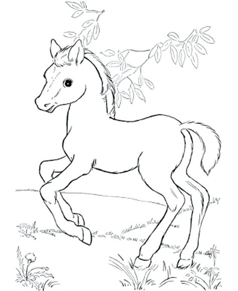 Pinto Horse Coloring Pages at GetDrawings | Free download