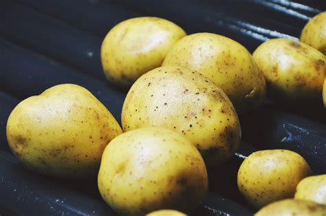 Free Images : fruit, food, produce, washing, tubers, potatoes, a ...