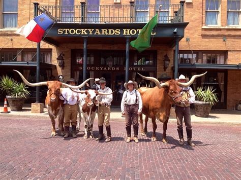 Stay - Fort Worth Stockyards