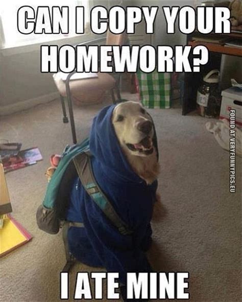 Funny Dog Homework Quotes. QuotesGram