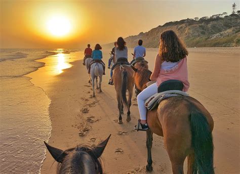 Horseback Riding on the Beach: Read this Before you Book | LearningHorses.com