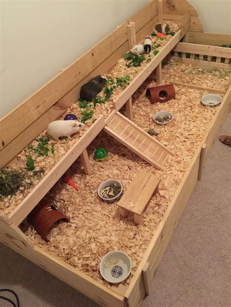 Indoor Guinea Pig Cage. Custom built for the girls!! Cage is 8'x3' with a 8'x1' loft. Home to ...