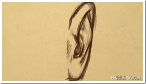 How To Draw An Ear From The Front