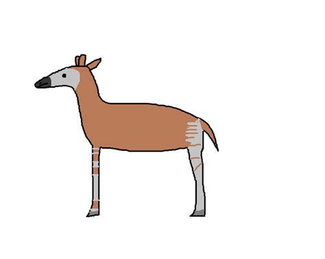 Okapi | Species Wiki | Fandom