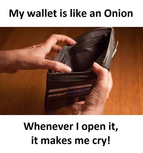 My Wallet Is Like An Onion | My wallet, Wallet, Lol so true