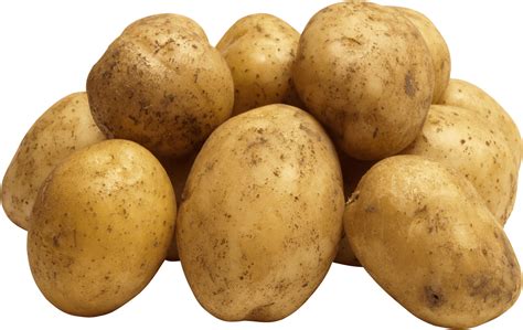 Potato Png Images Transparent HQ PNG Download | FreePNGImg