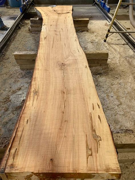 Sliver Maple Wood Slabs Log VM-05 – Bluestone Organic