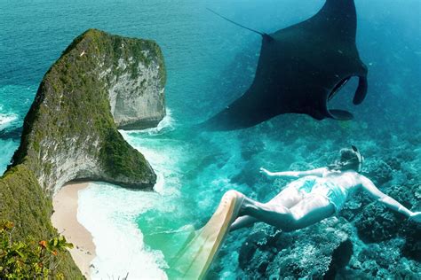 Nusa Penida Snorkeling Day Trip | Angel Billabong | Kelingking Point