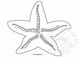 Starfish Coloring Pages To Print  Page sketch template
