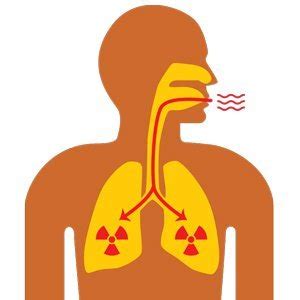 Radon Gas and Lung Cancer - Utah Radon Services