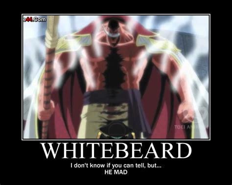 Whitebeard- Fear it by Pikazilla1956 on DeviantArt